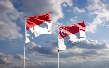 Indonesia flag on the left and Singapore flag on the right on a sky background