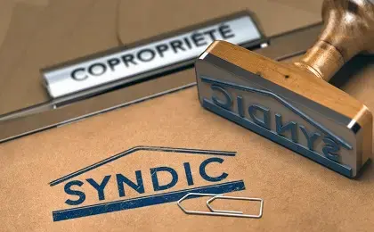 syndic.jpg