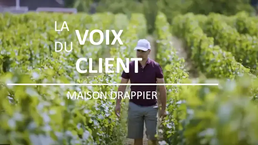 La voix du client - 2