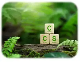 Three wooden blocks with carbon, capture and storage written on each of them on a lush green background