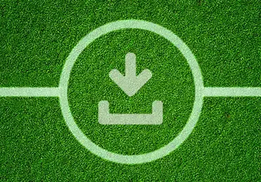 download lower - 372 x 260