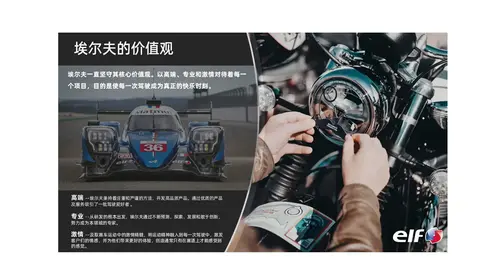 埃尔夫的价值观
