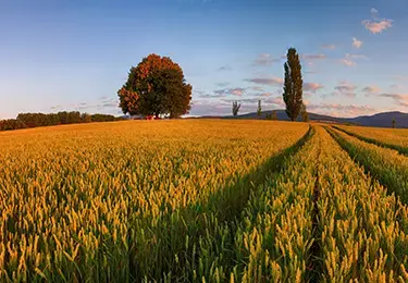 facture-energetique-agriculteurs.jpg