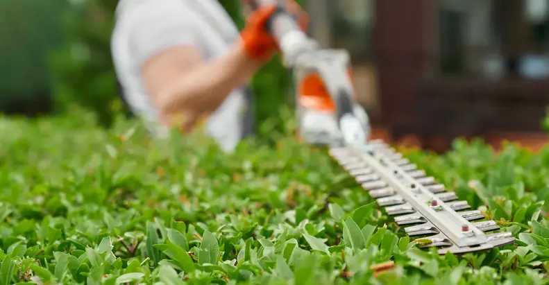 worker-is-cutting-grass-with-hose