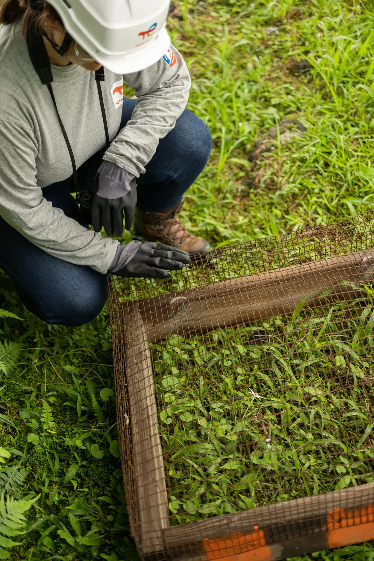 Centrale solaire au sol de Mangassaye, Piton Sainte-Rose, La Réunion