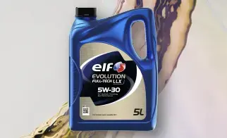 Elf evolution