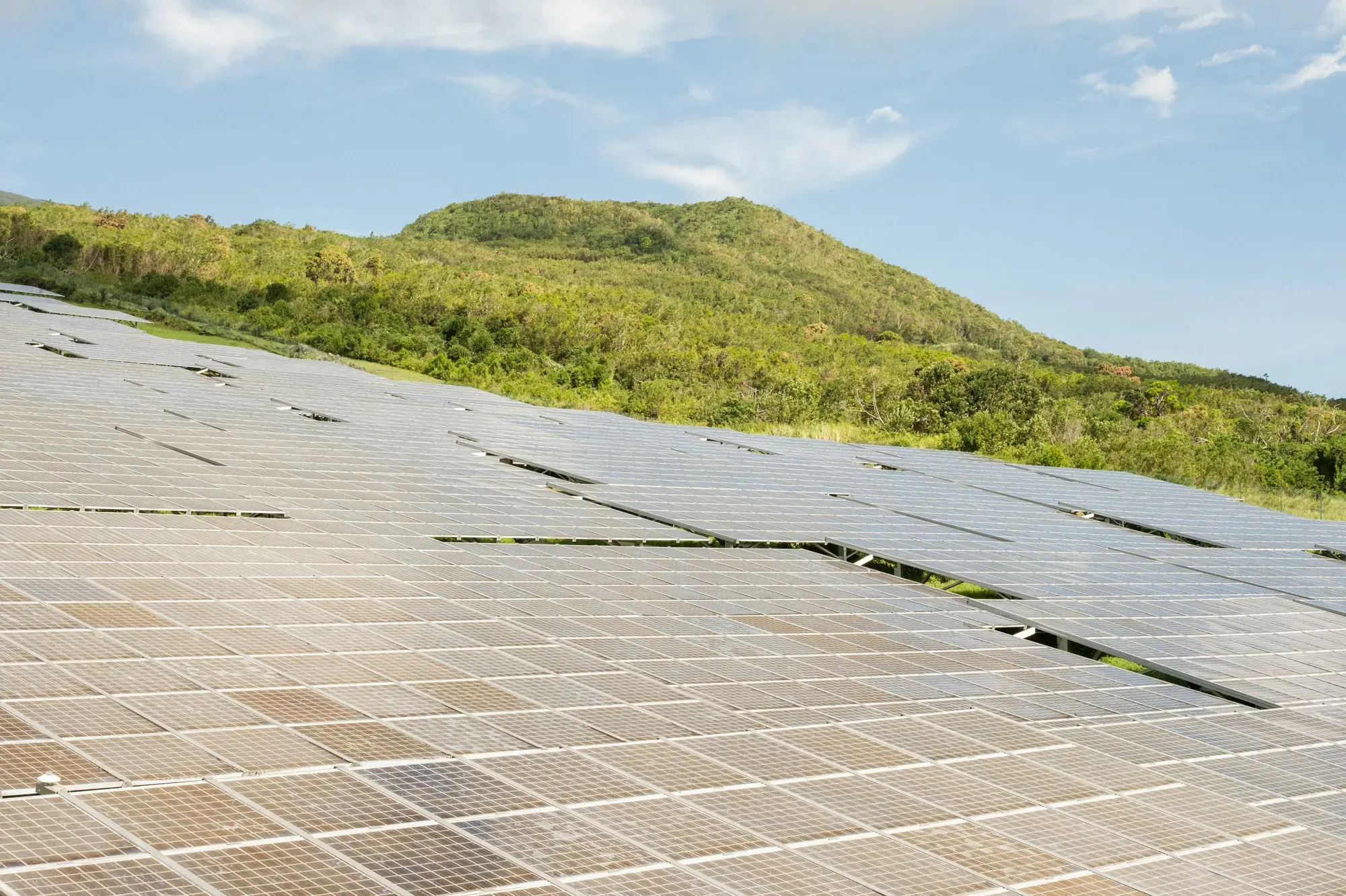 Centrale solaire au sol de Mangassaye, Piton Sainte-Rose, La Réunion