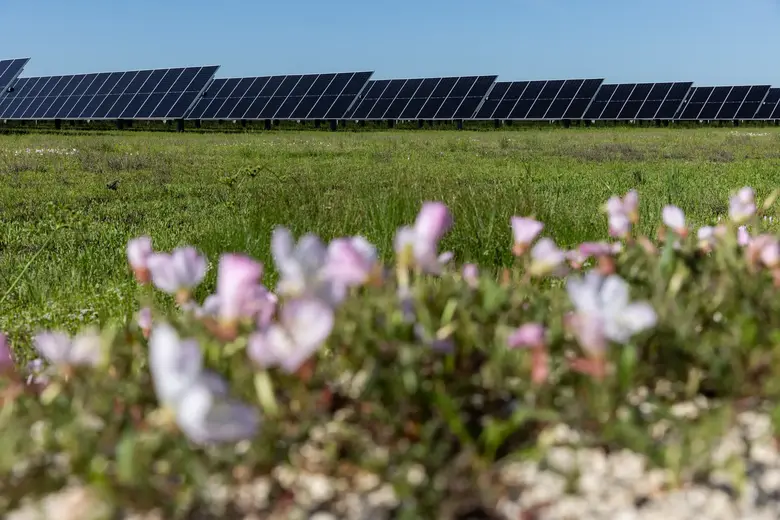 Centrale solaire de Myrtle (Texas, Etats-Unis)