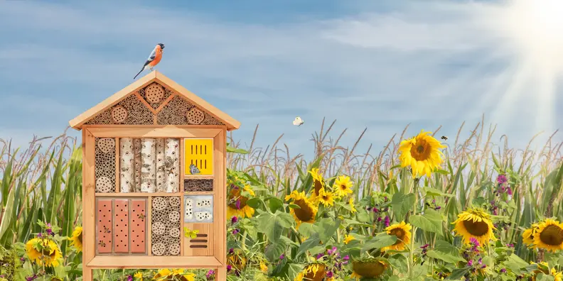 huerto_hotel_insectos