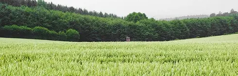 2-tema.jpg