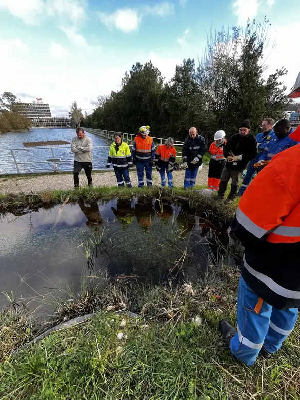 Personnes participant à l'entretien de la mare devant le restaurant d'entreprise sur la plateforme de Feyzin.