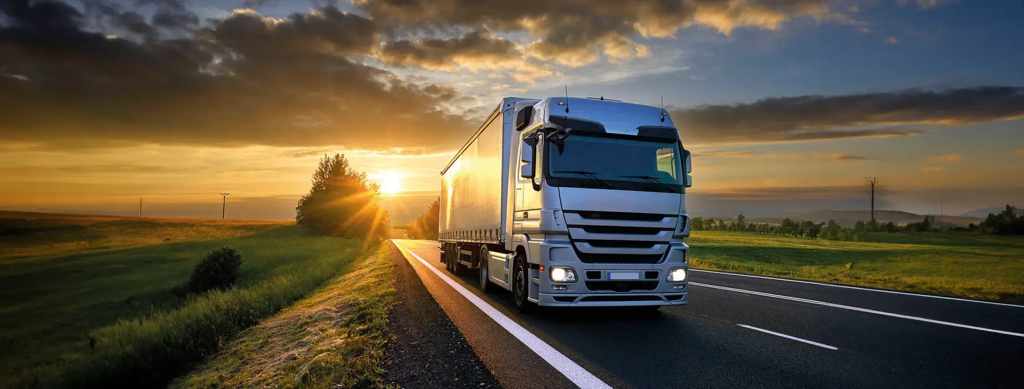 aceite rubia para vehiculos pesados camiones y buses