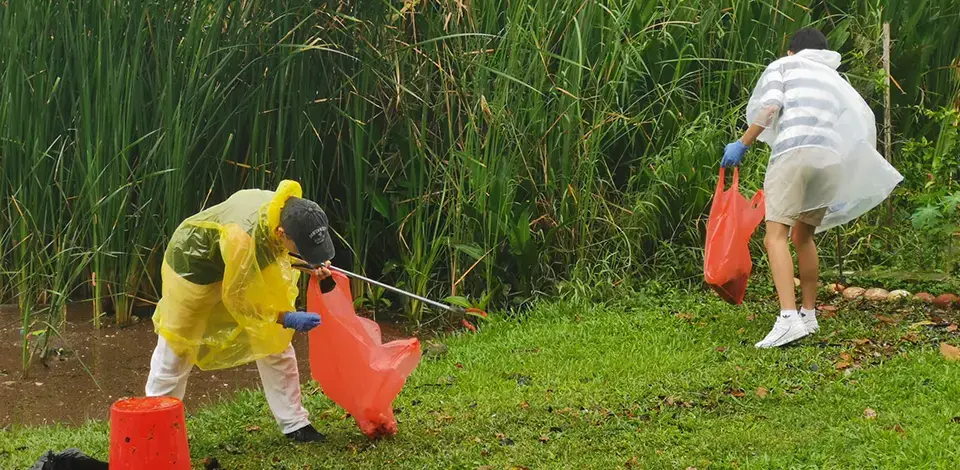 employees picking up litter at a field near Marina Reservoir