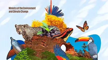 estrategia nacional de bio