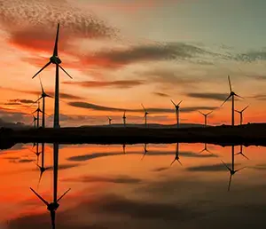 Ansammlung von Windrädern im Abendlicht