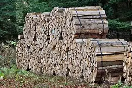 stere bois chauffage.jpg