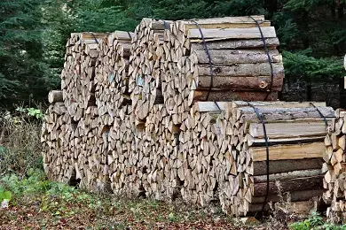 stere bois chauffage.jpg