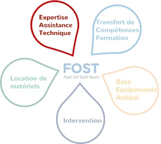 sommaire : partie expertise technique