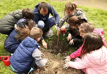 Sadnjom mladica doprinosimo očuvanju životne sredine