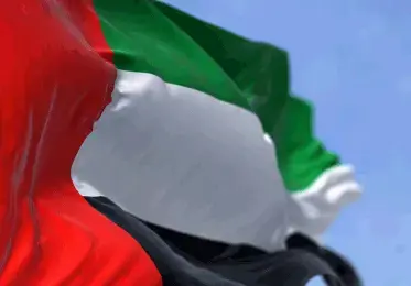 UAE flag