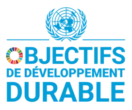 f_sdg_logo_un_emblem_square_trans_web-300x249.png
