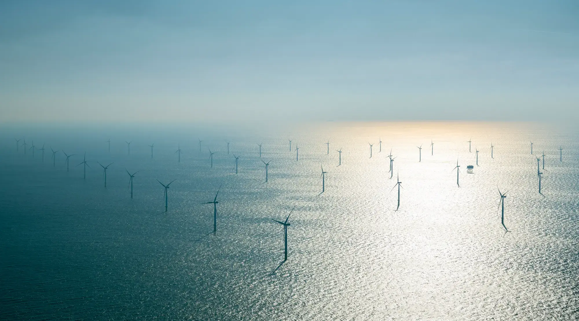 Offshore wind farm 
