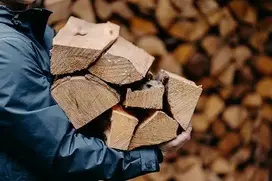 bois homme buche.jpg