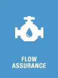 Flow assurance&nbsp;