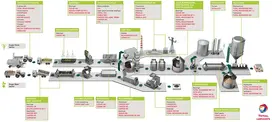 Nevastane process