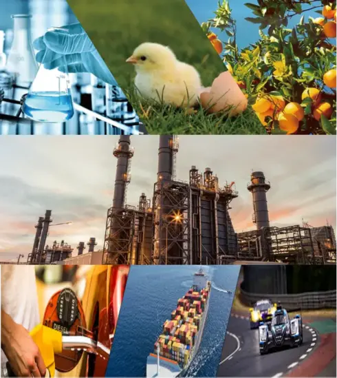 营销与服务业务在中国