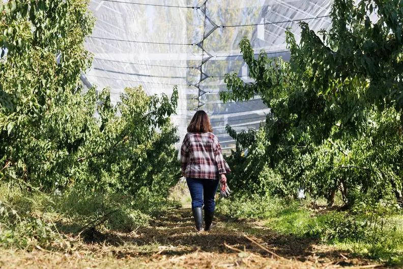 Agrivoltaics, Saint-Martin-de-Crau