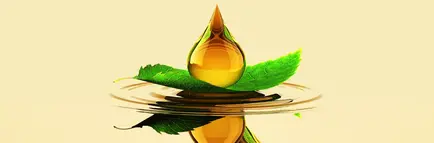 bio_leaf_oil_drop_v1314x.jpg