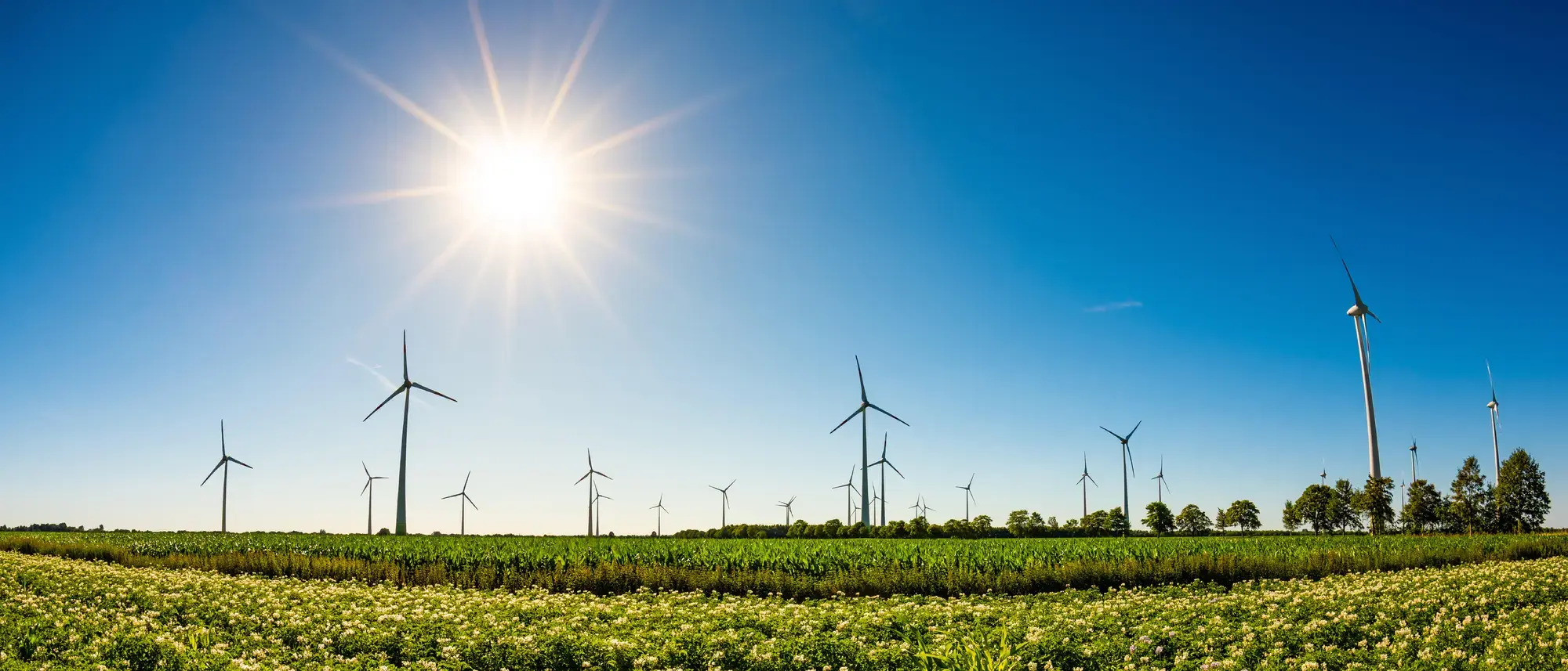 Windturbineenergie.jpeg