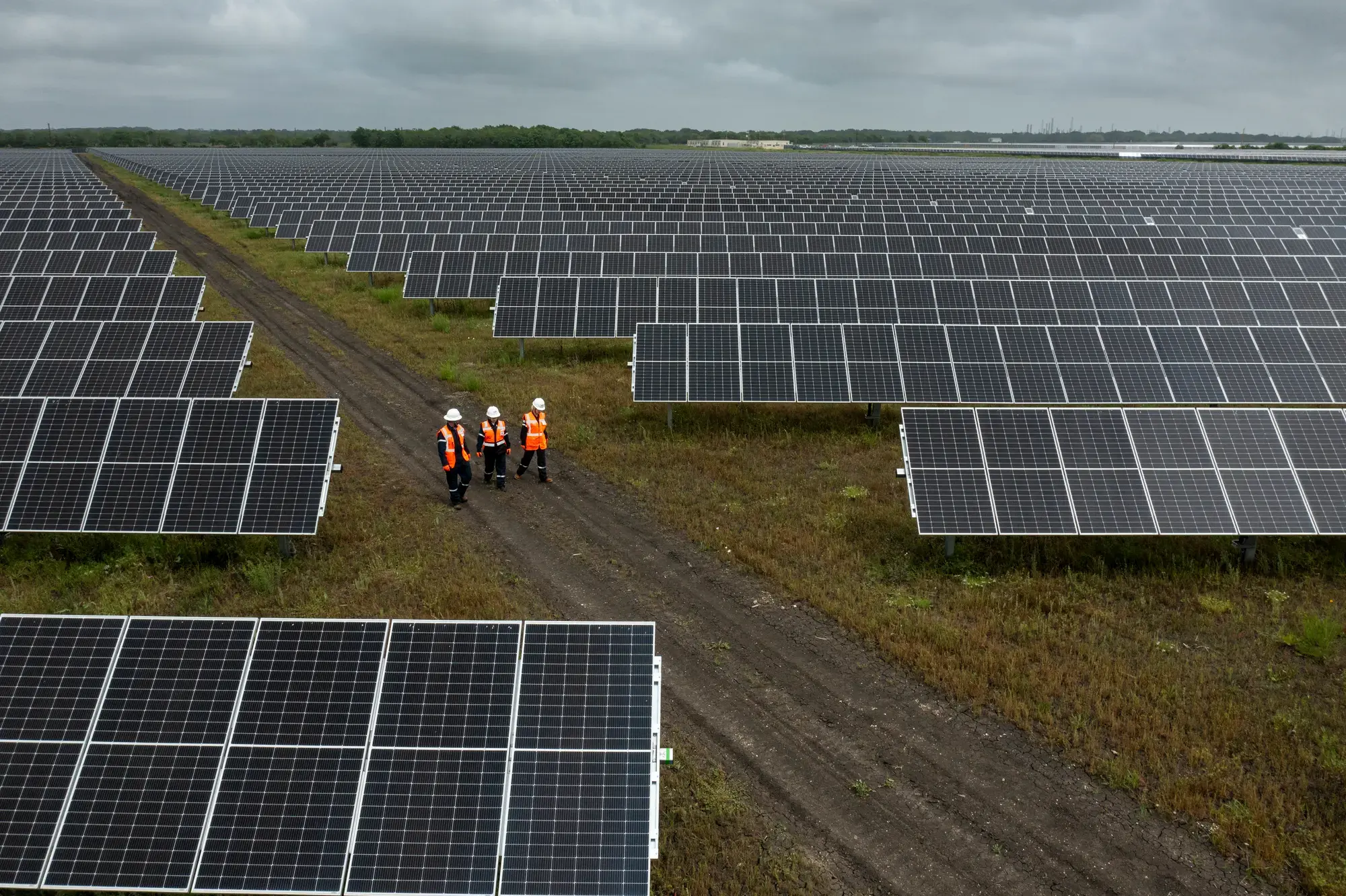 Cottonwood Solar Farm (Texas, USA)