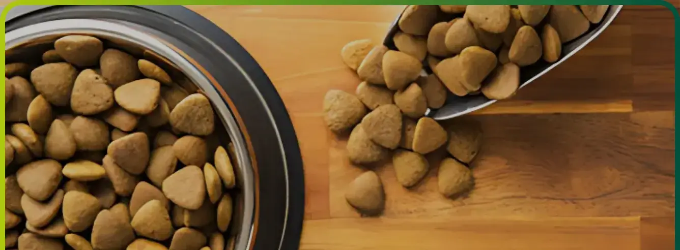 Nourriture pour animaux