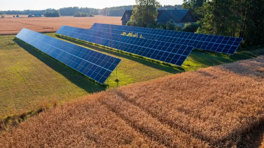 Comment fonctionne l'agrivoltaïsme ?