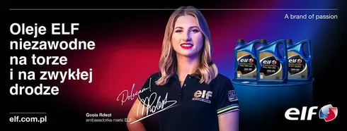 elf_gosia_banner_v8.jpg
