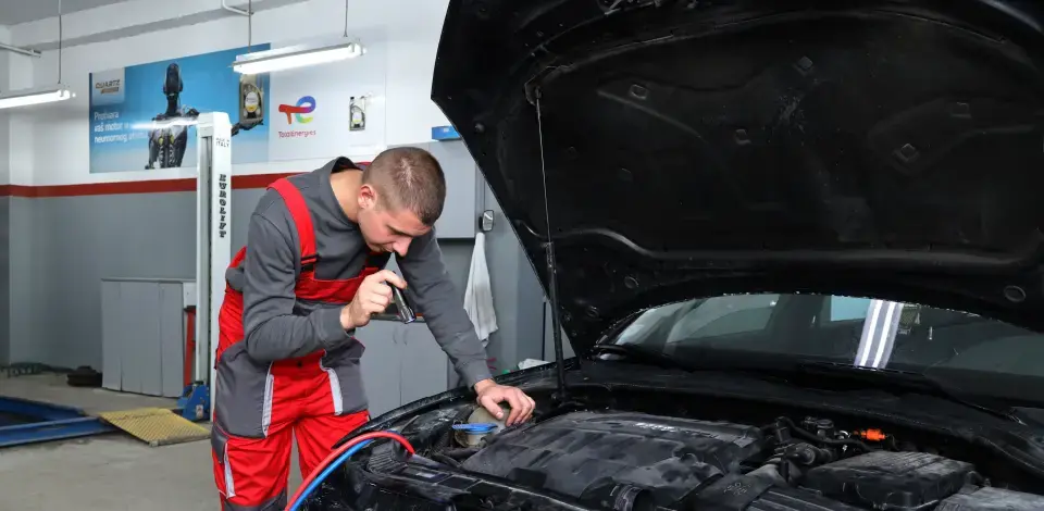 Euro-auto, Bor, Mreza servisa-08.png