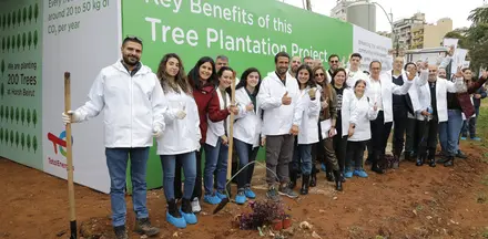 Horsh beirut 200 trees plantation