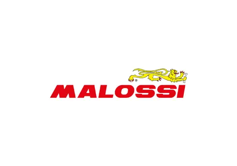 logo malossi