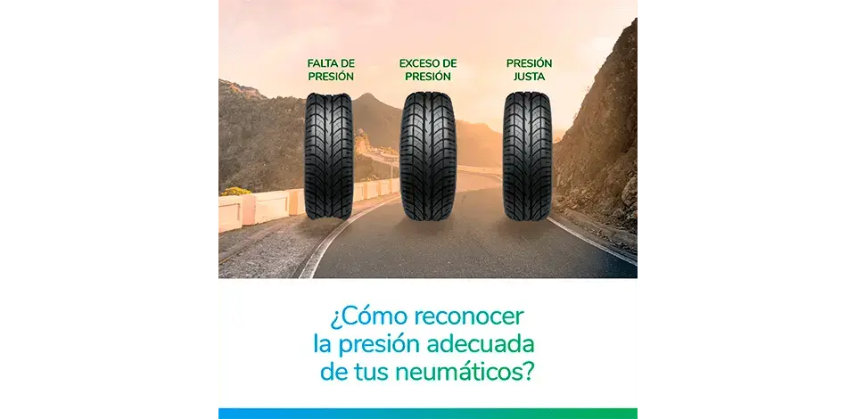 15 consejos de Seguridad Vial