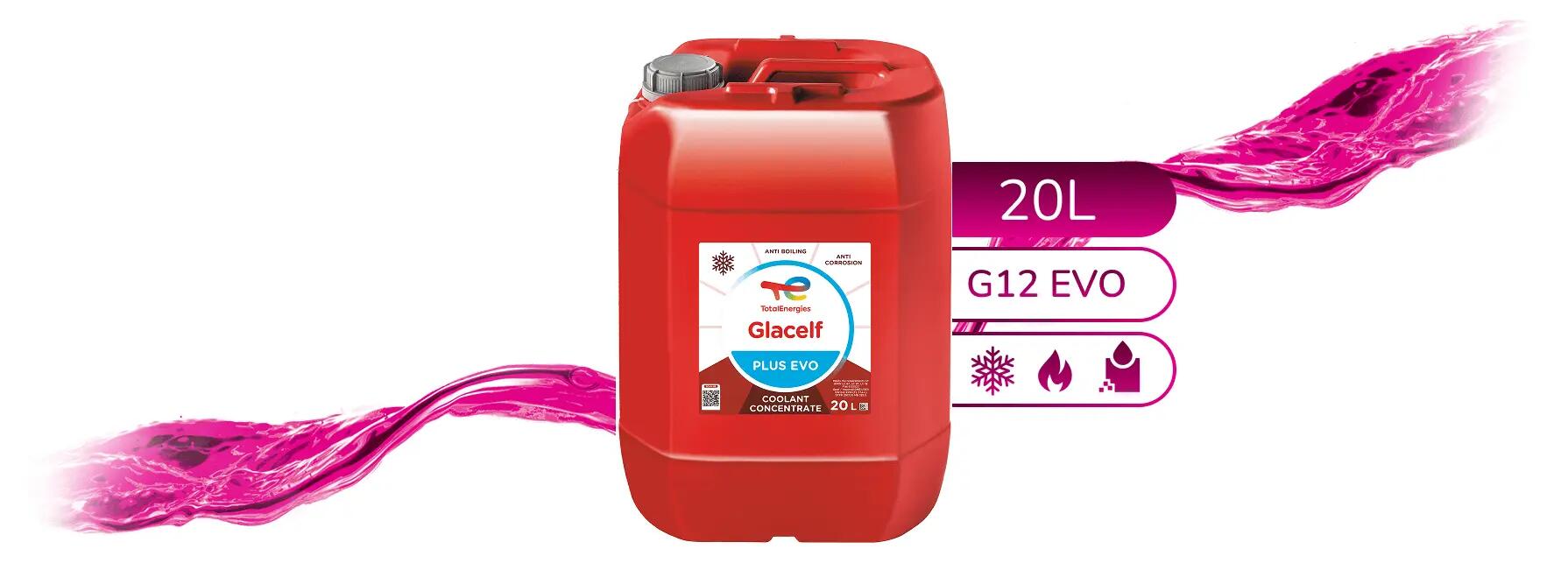 pck_total_glacelf plus evo_y61_202403_20l+1l-1