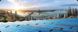 Preservación del medio ambiente