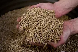 pellets .jpg