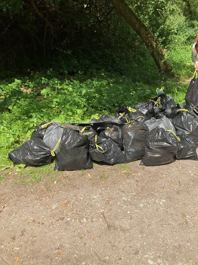 kariera_sprzatanie_lasu_smieci