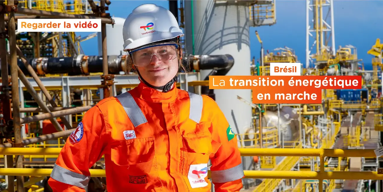 vignette brésil fr-100