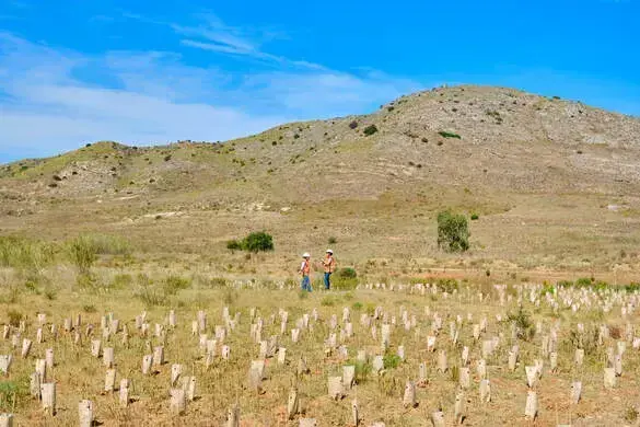 Dos personas dialogan en medio de un extenso campo.