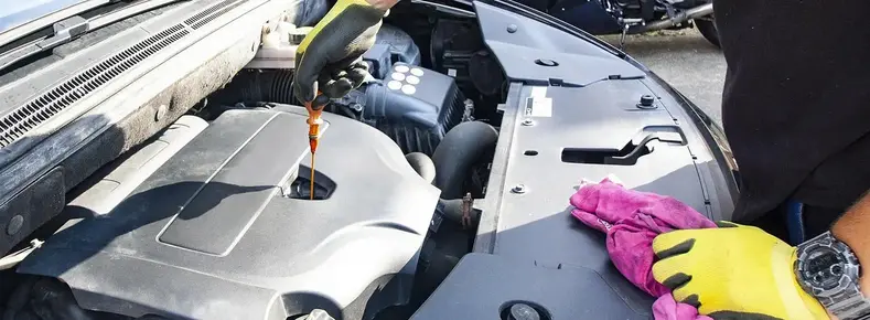 image_processing20250604-9-mp9gub_1360x500