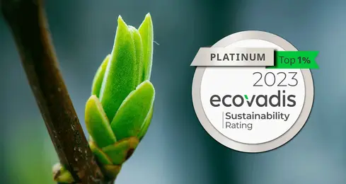 Plante verte ecovadis