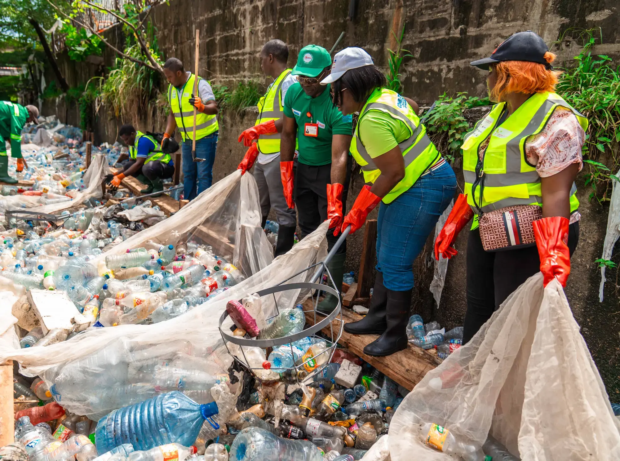 Journée mondiale de l'environnement 2025